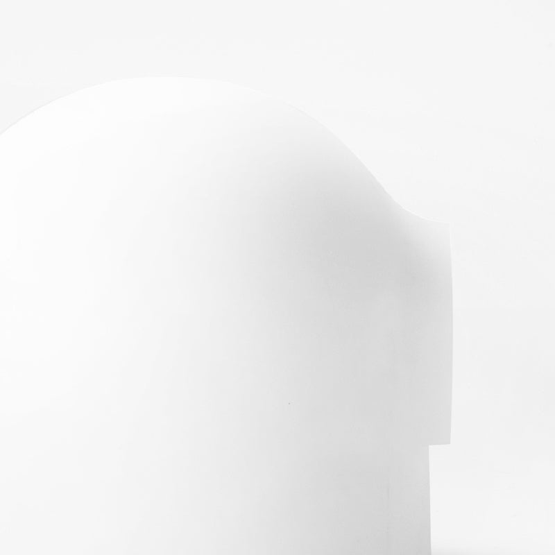 Igloo Cat Litter Box