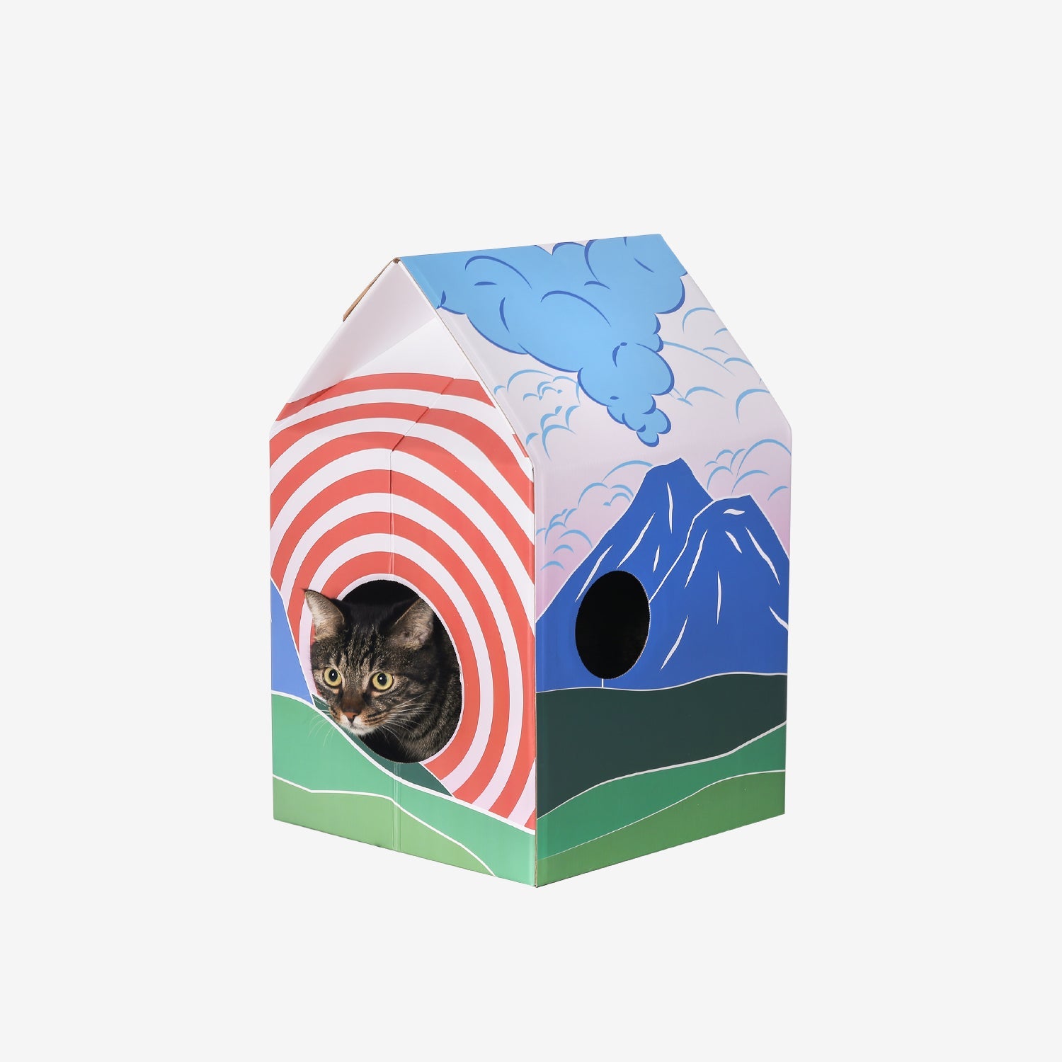 Cat House Scratcher