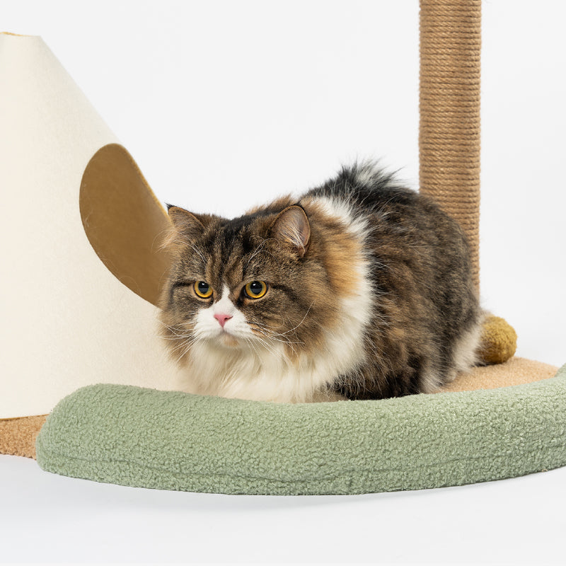 Cat Island