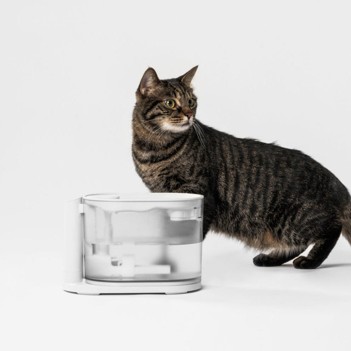 pidan TempFlow- Water Fountain for Cats with Water Temperature Control 2.0 | US/CA Version