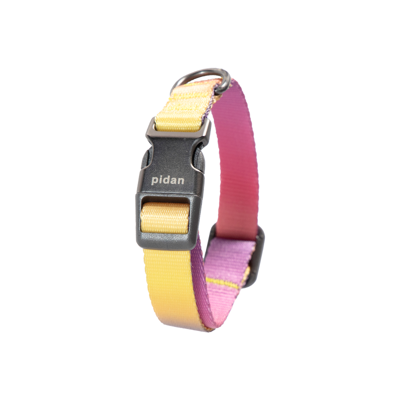pidan Dog Collar with Metal Buckle, 6 types