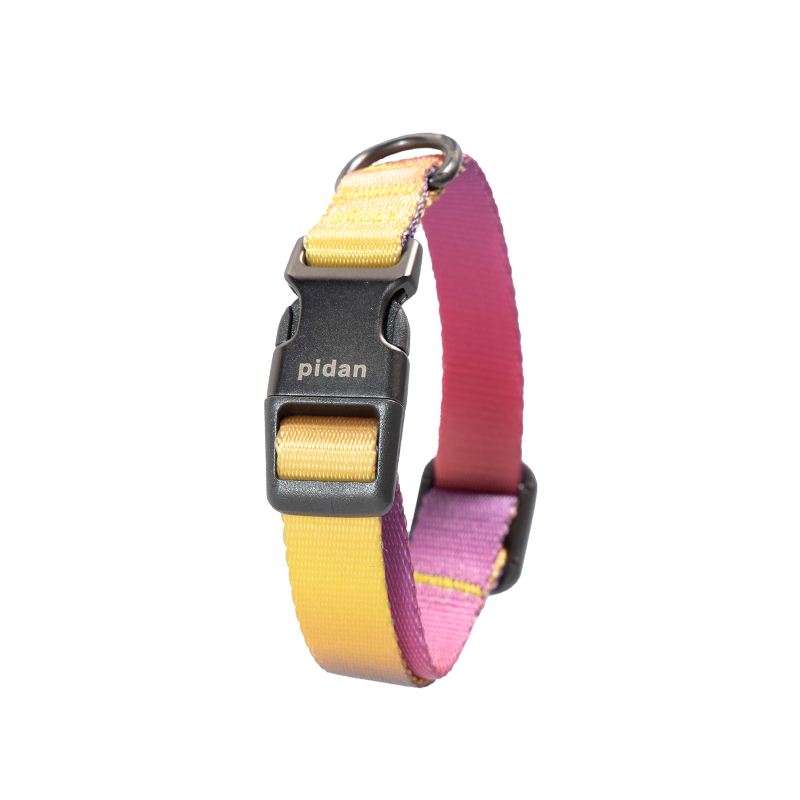 pidan Dog Collar with Metal Buckle, 6 types