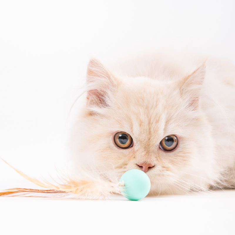 Cat Toy - Bouncy Balls (3 PCS)