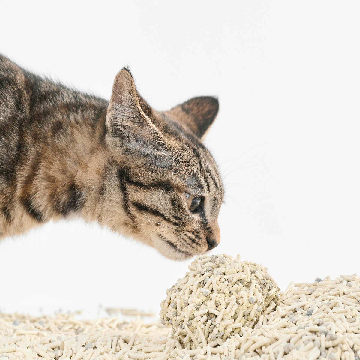 pidan Cat Litter Tofu & Bentonite | 4.8 kg (10.58 lb ) | PD1605M1X2EPC