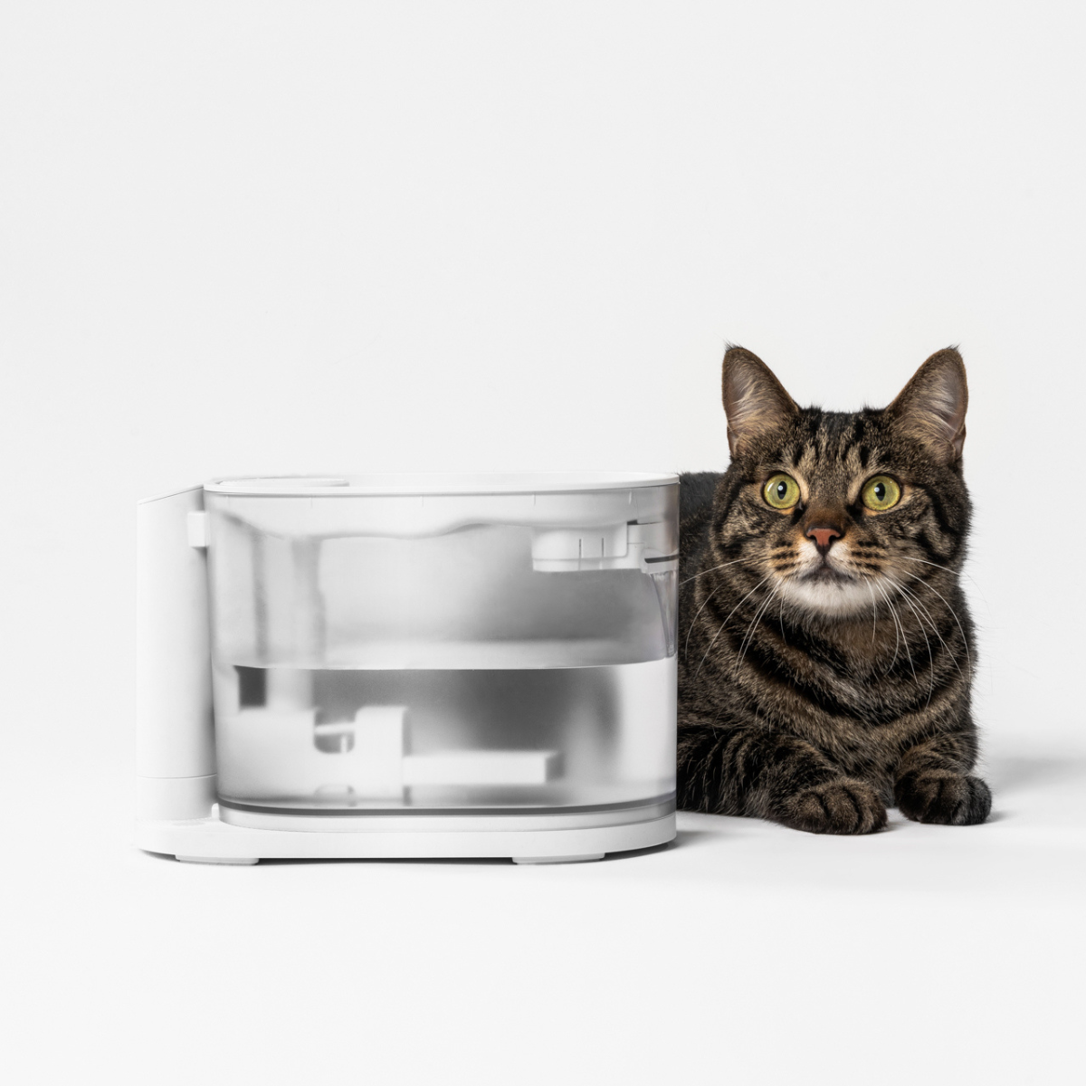 pidan TempFlow- Water Fountain for Cats with Water Temperature Control 2.0 | US/CA Version