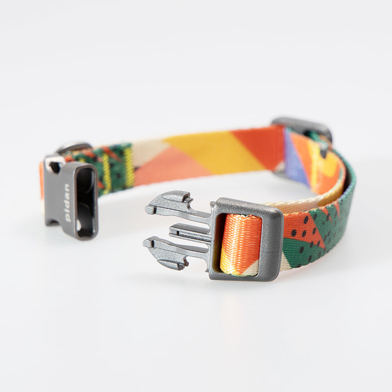 pidan Dog Collar with Metal Buckle, 6 types