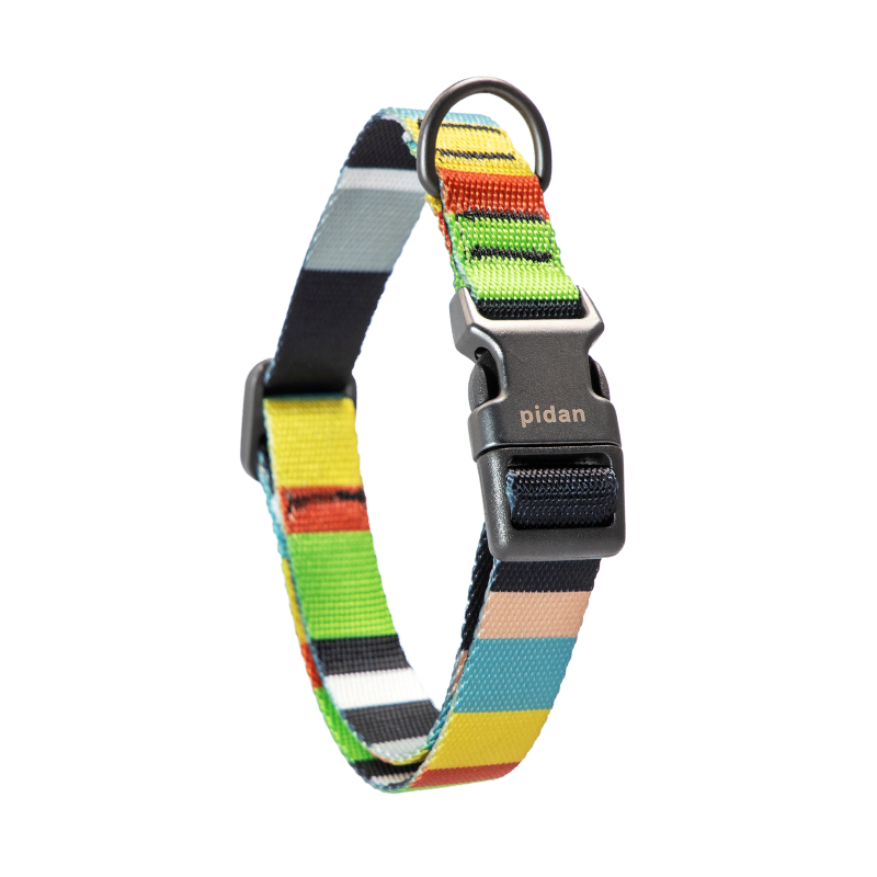 pidan Dog Collar with Metal Buckle, 6 types