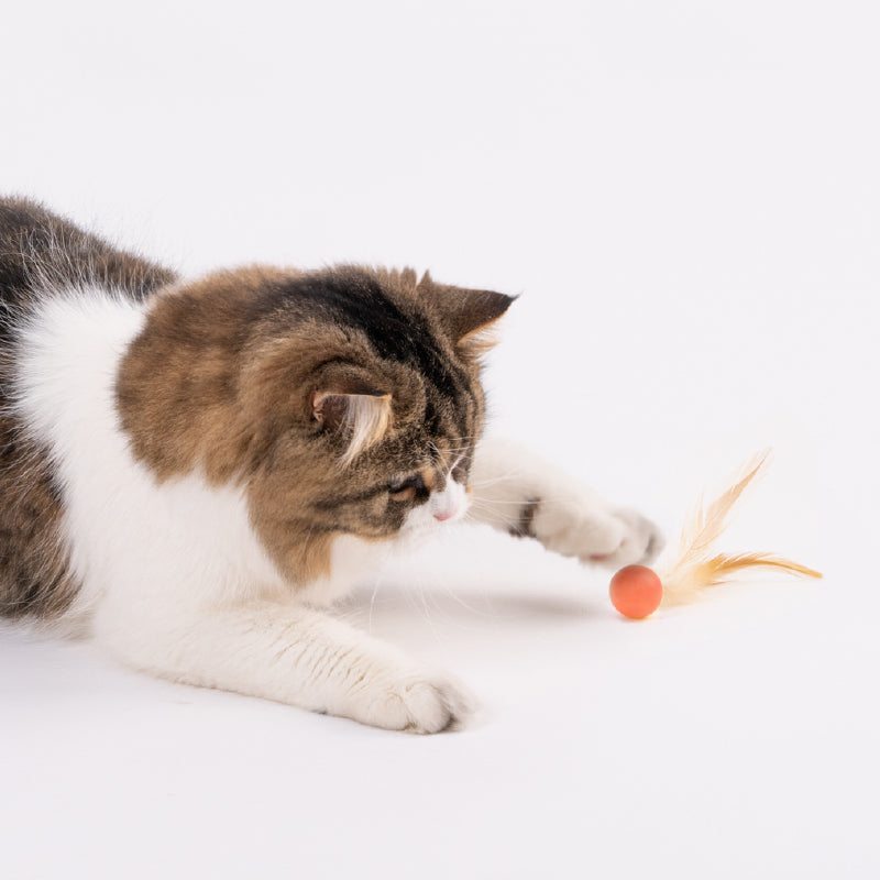 Cat Toy - Bouncy Balls (3 PCS)