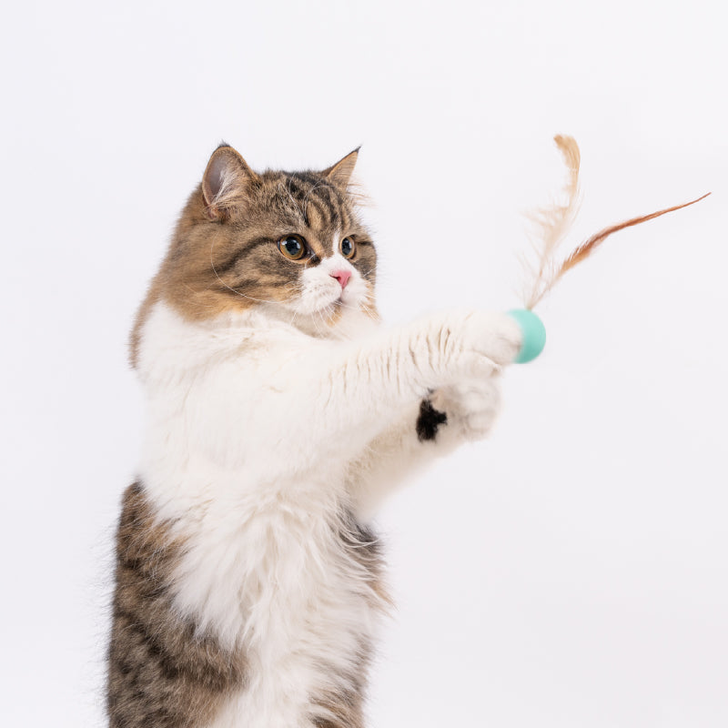 Cat Toy - Bouncy Balls (3 PCS)
