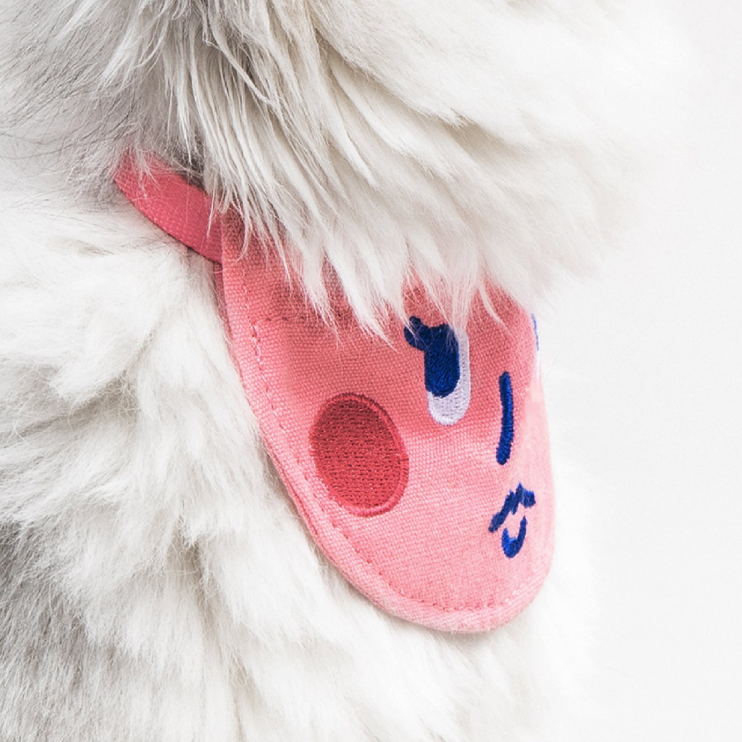 Pet Bib Collar