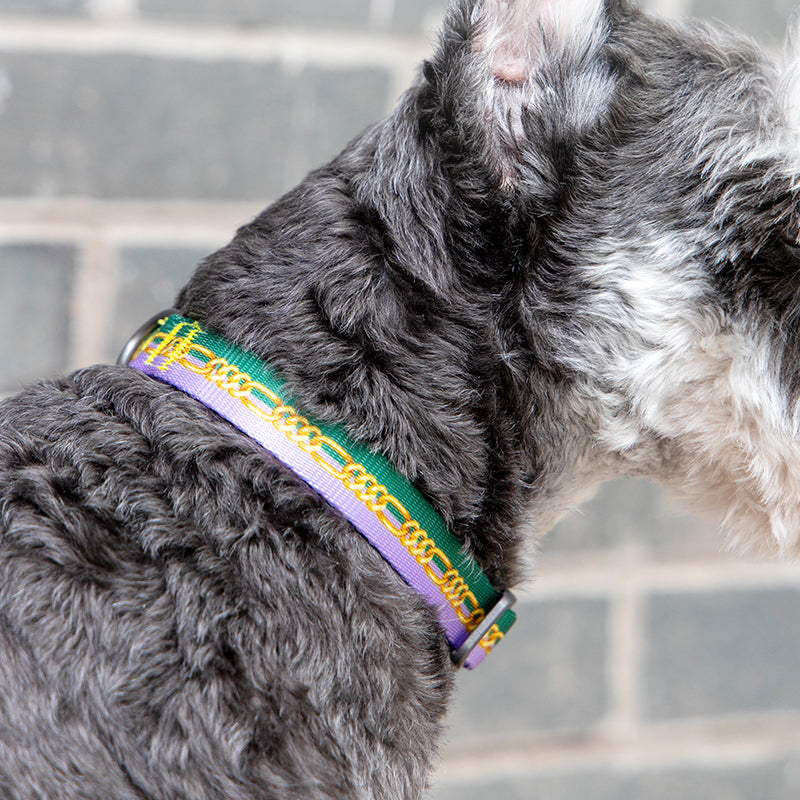 pidan Dog Collar with Metal Buckle, 6 types