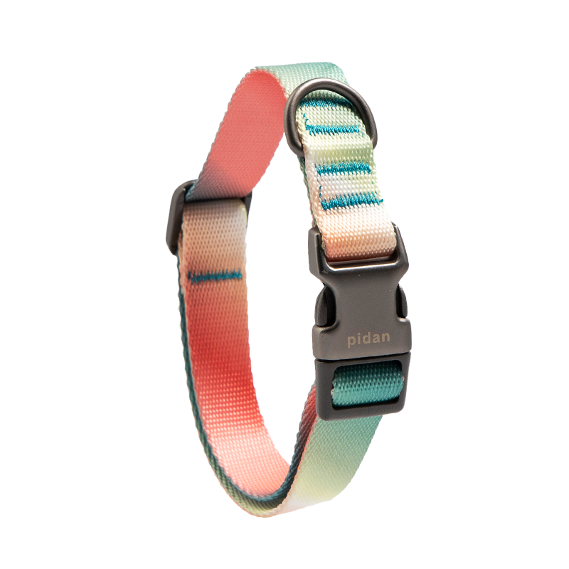 pidan Dog Collar with Metal Buckle, 6 types