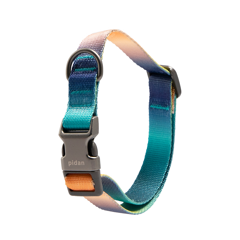 pidan Dog Collar with Metal Buckle, 6 types